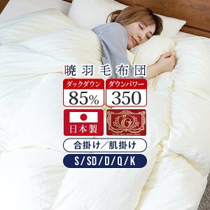  AKATSUKI | | Hѕzc X^_[h VO Z~_u _u NC[ LO { _E85% _Ep[350 GNZS[hx h_j R hL yr[ō