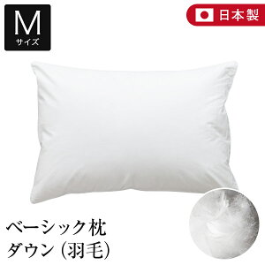  M 43×63 _E 100 x[VbN { Y _炩 炩 I[V[Y H _Es[ _E Hі H Te  Rbg ܂ s[   ze z