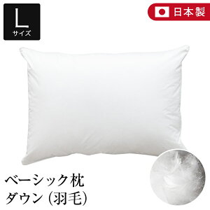  L 50×70 _E 100 x[VbN { Y _炩 炩 I[V[Y H _Es[ _E Hі H Te TeD  Rbg ܂ s[   