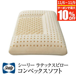 y10/30~11/1͍ő15OFFN[|zV[[ ebNXs[ RxbNX \tg Ki o[Vu ʎdl ebNX  ܂ ʋC _炩    QԂ Rۃs