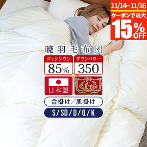 y11/14`11/16͍ő15OFFN[|z AKATSUKI | | Hѕzc X^_[h VO Z~_u _u NC[ LO { _E85% _Ep[350 GNZS[hx