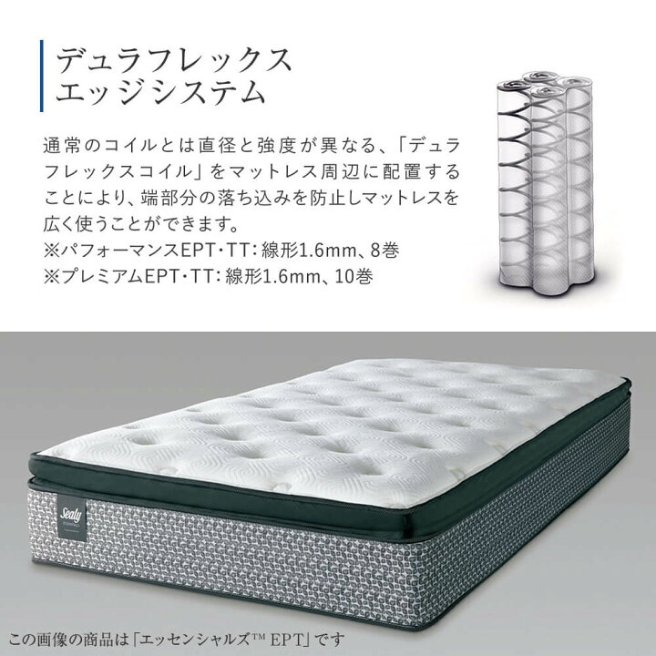 楽天市場】【1/15限定！最大15％OFFクーポン】【正規販売店】シーリー 