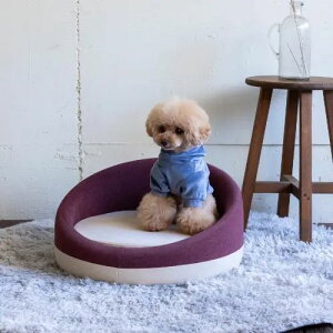 ybgxbh ybgp xbh p[v ybg\t@ ~` t@ubN STCY