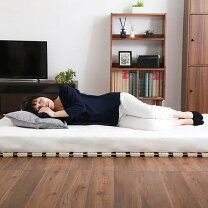 楽天市場】ニトリ 折りたたみベット ダブルメッシュの通販