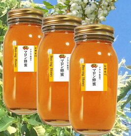 はちみつ 国産 信州 マロン 蜂蜜1kgx3（3000g）無農薬 栗ハチミツ 信州産100％【ミツバチがブレンド アカシア混じりの百花蜜 風味抜群】