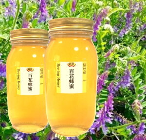 yV{ jzSUPER-OFF50OFFzy̔zEwA[xb`Ȃǃ~co`uh S ݂͂ Y M 1000gx2{yMBܖY100 ݂͂v2kgz ԕ