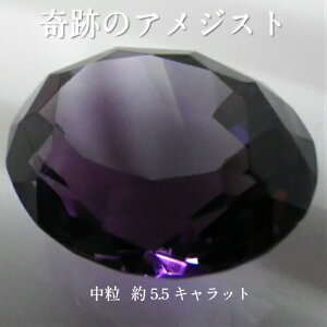 Ղ̓VRAWXg-71 y嗱5.5Lbgz y[X̔z 50N̖肩ڊo߂󏭐 ݔ̔ĂAWXg͐F̂唼 lႢ [X P