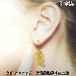 `^sAX VR߃tbNsAX AM[΍ RnN6mmۋ v6 ߓL̓ꂢɋP܂ |Xgւł͂܂ysz { x`^F99