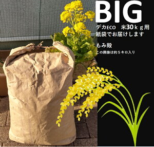 k ݊k ݂ Big 5kg b{sŐYĂ邨ĉ VẴ~K ~j؉ ƒ؉ y ێ ې 悯 ^Ă̓