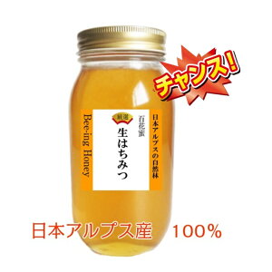 y10{珇zy2025NYz݂͂ Y M _ {AvXR̎RI {AvXY100 Y SԖ n`~c1kg M{EVEVi̖؁EE`̖؁E