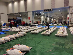 yV{ jzSUPER-|Cg20{yVNⓀ܂󏭕 قٓ  J}  MIXzy΂đoׁzy500g/4pbN2kgzyNł̂ŐH͉𓀂1