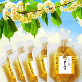 【2026年産 新蜜】出会えなかった本物のマロン蜂蜜 オーガニック はちみつ 国産 非加熱 100gx5個 栗 ハチミツ 信州産 100％【ミツバチがブレンド アカシア混じりで風味がUP】国産はちみつ 100％