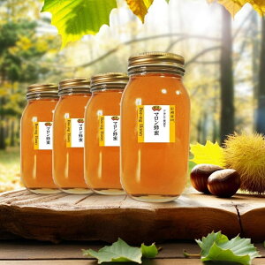 yV{ jzSUPER-|Cg20{y萔ʃ`Xz݂͂ Y MB } I1kgx4i4000gj _ In`~c MBY100y~co`uh AJVA̕S