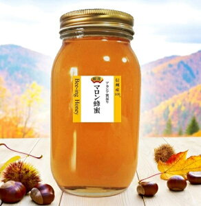 Y݂͂y2025NYVzoȂ{̃}I I[KjbN ݂͂ M _ MB 1kg I n`~c I Iy~co`uh AJVA肾 Qz