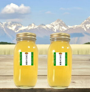 yV{ jzSUPER-|Cg20{y̔y2025NYz݂͂ Y M _ MB nRn t݂̐͂ nRnY100 Y SԖ I1kgi1000gjx2{ Ln_