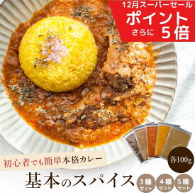 ＼1月ポイント10倍／ D'sTs スパイス カレー セット カレースパイス ターメリック クミン コリアンダー チリパウダー カレー粉 カレーパウダー 保存料　無添加 100g 3種/4種/5種 スパイスセット レシピ付き