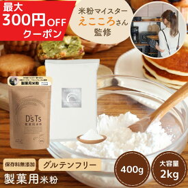 銀の米粉 えこころ米粉 ＼1月ポイント10倍／ D'sTs公式店 米粉 ミズホチカラ えこころさん監修 えこころ米粉 製菓用米粉 400g / 2kg オリジナルレシピ付き グルテンフリー 国産 保存料 無添加 低GI ホームベーカリー 【送料無料】