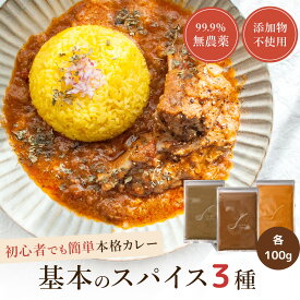 ＼スーパーセール対象商品／D'sTs スパイス カレー ターメリック クミンパウダー コリアンダーパウダー カレー粉 無添加 100g 3種セット