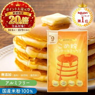 米粉パンケーキ ＼ポイント20倍／ 100g×3個/5個/8個/10個 米粉パンケーキミックス 米粉ホットケーキ パ…