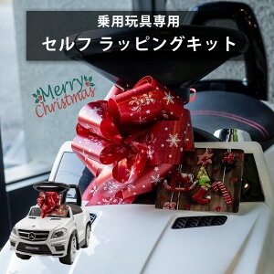 yX[p[SALEŎgN[|܂Izpߋ ZtbsOLbg NX}X { J[h v[g