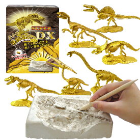 ［黄金の発掘名人 SUPER DX］化石を発掘する楽しさ 発掘したパーツで恐竜を組み立て ティラノサウルス/スピノサウルス/トリケラトプス/ブラキオサウルス/ディノニクス/プテラノドン シークレットは本物の金【あす楽対応】