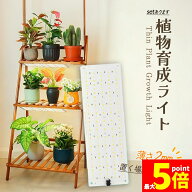 ★期間限定！ポイント5倍★ LED植物育成ライト 植物育成ライト 薄型 板状 板 パネル 5段階調光 LED 植物…