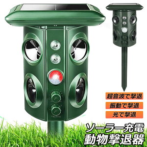 �L���� �����g �\�[���[ �h�� �˂��悯 ���悯 ���悯 �L���� �������ފ� USB�[�d �� �\�[���[�[�d LED�t���b�V�����C�g �U�� 5���ރ��[�h ���ʒ����\ ����Q�΍� ���Q�΍� �L���� �L�ގ� 