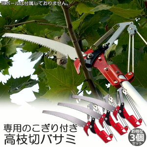 }؂oT~ 3Zbg [v }؂̂ }mRM }؂oT~ } y ͂ K[fjOpi  ʎ ̎ } nT~ | K[fjOpi