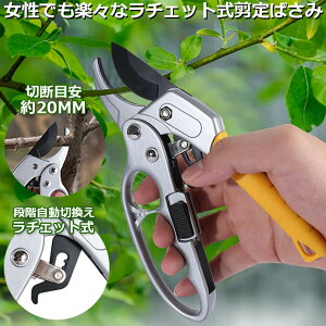 ΂ `Fbg  |p͂ }؂΂ A~ `Fbg΂ ɂ y }  ~ 뉀 A  } K[fjO nT~ ^ 