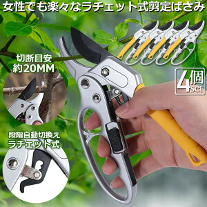 ΂ `Fbg 4Zbg  |p͂ }؂΂ A~ `Fbg΂ ɂ y }  ~ 뉀 A  } K[fjO nT~ ^ 