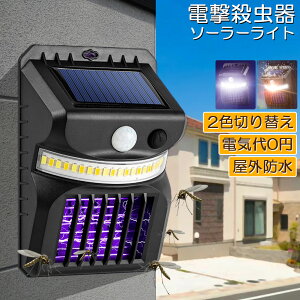 dE E \[[Cg led ZT[Cg 悯 Ɩ  gp\ _lZT[Cg  RoG K[fCg Lv Cg ledCg lC