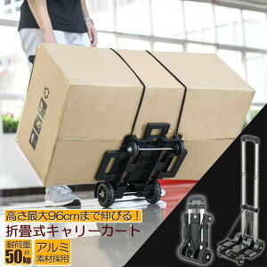 L[J[g ܂  y É nhL[ ו^ԃJ[g ω׏d50kg Œ胍[vt ~ RpNg  4 Œ胍[vt z Lv AEghA Cx