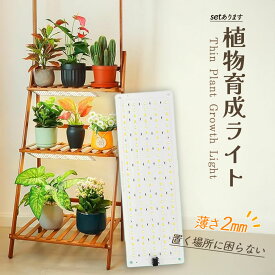 LED植物育成ライト 植物育成ライト 薄型 板状 板 パネル 5段階調光 LED 植物ライト 植物育成ランプ 観葉植物用ライト 室内栽培ランプ 定時機能 タイマー 高輝度 育苗ライト 観葉植物 多肉植物 効果 フルスペクトル プラントライト 省エネ 長寿命 家庭菜園 園芸用品
