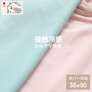 ڐG⊴  Jo[ 35×50 { Ђ 炳 N[  [֑ Mtg