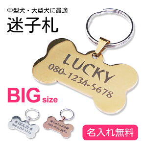 yBIGTCY قˌ^zqD ꖳ 822043 傫   ybgpi  O l[v[g hbO^O D 킢  qh~ |Cg   ylR