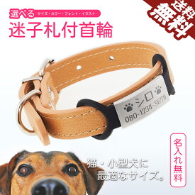 迷子札付き首輪 123075 名入れ無料 超軽量 小型犬 いぬ 猫 ねこ ネコ ペット用品 首輪 チョーカー 名前 ネーム ドッグタグ 名札 かわいい 刻印 迷子防止 ポイント消化 おすすめ 送料無料 【ネコポス発送】