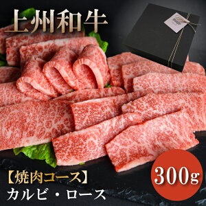 N Nn  Mtg p ēZbg 300g Ba ϔ Jr [X јa A4A5N  j j  Ε  N lC LO a o