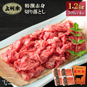  Ԑg؂藎Ƃ B 1.2kg Y  ܂Ƃߊ   300g × 4pbN ؂ XCX O Ε Ɩp 1kg  ₫EԂԗpƂ蕁i
