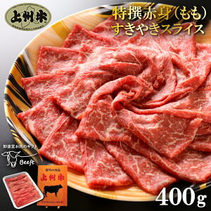  Ăp B ԐgXCX ؂ 400g  Y ܂Ƃߊ   Ε Ԃ Ε MtgBeeft