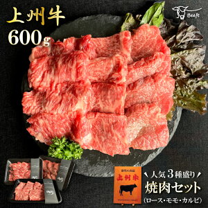  ēZbg v600g B [X Jr  ēp Ă Y BBQ 200g × 3 ~ Ԑg  Ε Ԃ Ă  MtgBeeft