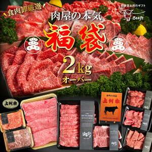   B ̖{C  2.2kg  2kg Zbg [Xgr[t Ă Ă Xe[L lߍ킹  Mtg 蕨 ⓀHi ē  2024 MtgBeeft