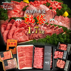   B ̖{C  1.7kg  1kg Zbg [Xgr[t Ă Ă lߍ킹  Mtg 蕨 ʔ ⓀHi ē  2024 MtgBeeft