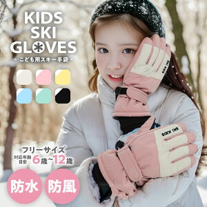 y}\ |Cg5{zXL[ XL[O[u LbY WjA q X}zΉ h h  N XL[ Xm{ XP[g  V ʊw X|[c ~  sN u[