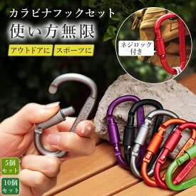 カラビナ フック ロック セット ロック付き 大型 5個 10個 大きめ アルミ 軽量 アウトドア スポーツ キーホルダー D型 釣り 旅行 防災 ランドセル 通学 用品 防災グッズ カラー ブラック 送料無料 キャンプ キーリング リード リュック