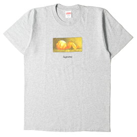 Supreme シュプリーム Tシャツ サイズ:M 絵画 グラフィック クルーネック Peel Tee 15AW ヘザーグレー トップス カットソー 半袖 【メンズ】【中古】【美品】【K4051】