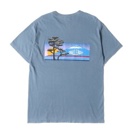 CHALLENGER チャレンジャー Tシャツ サイズ:M 20SS 和風 グラフィック 後染め クルーネック 半袖 Tシャツ NATURE JPN TEE ブルージーンズ トップス カットソー 【メンズ】【中古】【美品】【K4038】