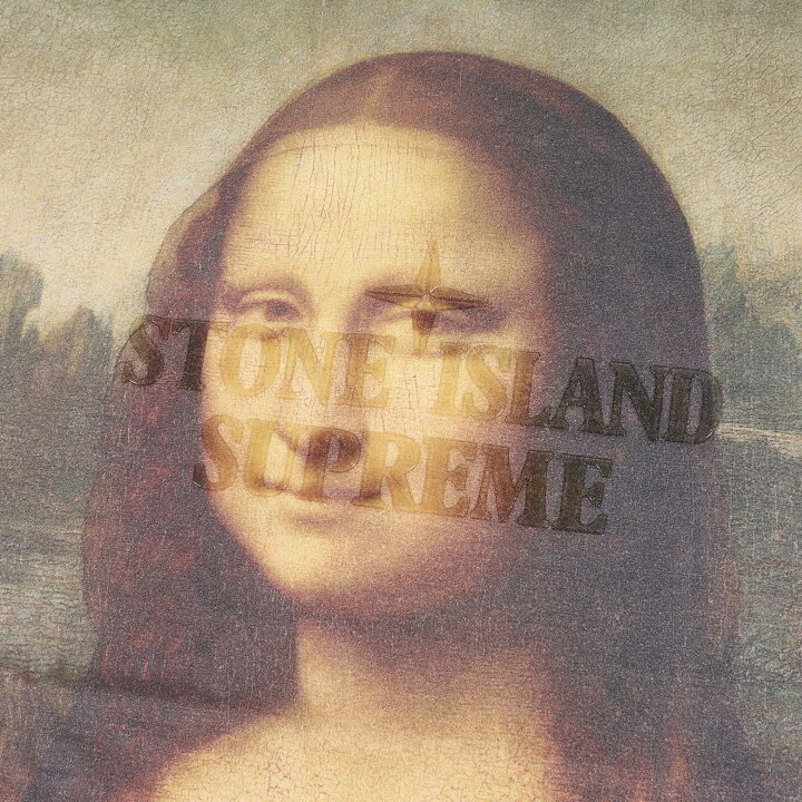 楽天市場】Supreme シュプリーム Tシャツ サイズ:XL 22SS STONE ISLAND  