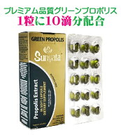 プレミアム品質 ブラジル産 グリーン プロポリス カプセル 250mg×45粒 ／45日分『1粒あたりに各採取で厳…