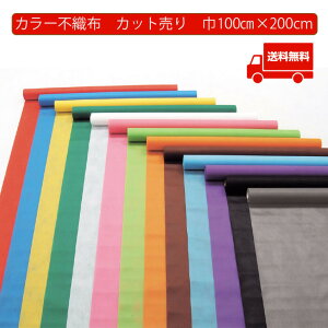 sDz J[sDz [ 100cm×2m ؔ 13F Jbg̔A[ebN f }XNn z}XN zoom wi ߑ ct ۈ牀  n NX}X bsO  v[g