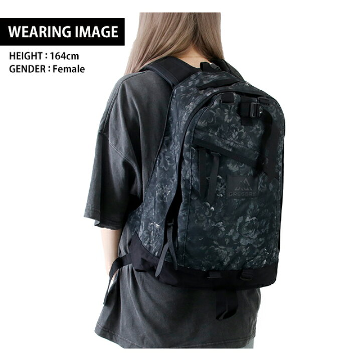 楽天市場】GREGORY グレゴリー リュック 26L メンズ レディース 